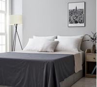 Manta Impermeable para Perros, Gatos y bebés | Funda Protectora para Cama, sofá y sofá | Manta Reversible Ligera Protección Multiusos | Queen y King 90 x 95 Pulgadas