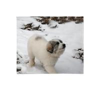 Manta para Sofá Cachorro de Gran Pirineo Jeté De Fauteuil S