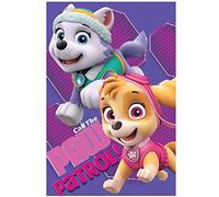 Manta polar de Skye y Everest Paw Patrol La Patrulla Canina