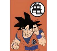 Manta Polar Dragon Ball 054 100 X 140 Cm Suave y Cálida