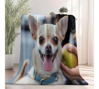 Manta súper Suave, Mantas de Forro Polar de Franela cálida para sofá, Manta de Cama de Felpa Primer Plano Chihuahua Animal para Todas Las Estaciones (Gris, 70×100 cm)
