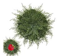 Mantel Individual De Cedro - Tapete De Mesa con Ramas Artificiales De PE | Diseño Antideslizante con Aislamiento Térmico De 40 Cm Fiestas Temáticas Navideñas, Protección De Mesa De Com
