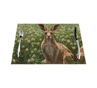 Manteles individuales tejidos, resistentes al calor, fáciles de limpiar, adecuados para fiestas al aire libre, decoración de cocina, accesorios de mesa, 12 x 18 pulgadas, diseño de koala en el trébol
