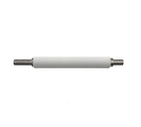 Mantenimiento del Conjunto del Rodillo De Platina P1037974-028, Compatible con Impresora Zebra ZT200 Series ZT210 ZT220 ZT230 ZT111 ZT211 ZT231 ZT231CN(Only Roller)