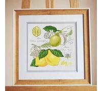 mantianhome Kit de bordado de punto de cruz, kit de bordado para principiantes, limón, manualidades, bordado, regalo para adultos y niños, decoración del hogar, 40 x 50 cm (11 CT),