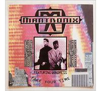 Mantronix - Take your time-Remix (Beat you down Mix, 1990, b/w 'Got to have your love [Illinois Mix]', 'Don't you want more') / Vinyl Maxi Single [Vinyl 12'']