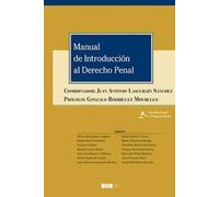 Manual de Introducción al Derecho Penal: 2 (Derecho Penal y Procesal Penal)