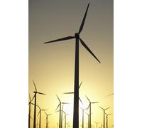 Manual de Licitações e Contratos: Teoria, Jurisprudência e Prática: Da teoria à prática: um guia completo para concursos e atuação profissional