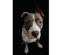 Manual Password Manager: Organizer for Websites, Usernames, and Logins