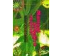 MANUAL PRACTICO PARA SIBARITAS: El Cultivo del Cannabis en Exterior (SIN COLECCION)