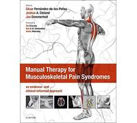 Manual Therapy for Musculoskeletal Pain Syndromes: an evidence- and clinical-informed approach