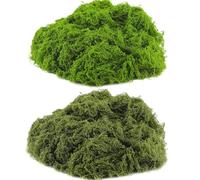 Manualidades Con Musgo Artificial, Ampliamente Utilizadas, 24,5 X 31 X 1,5 Cm, Musgo De Terrario De Forma Versátil, Plantas De Liquen Verde Falso, Fácil De Cuidar, Para Terrario, Florero, Suculentas,