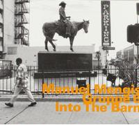Manuel Mengis - Into the Barn