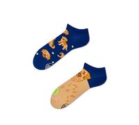 Many Mornings - Golden Boy Low - Perro, Golden Retriever - Calcetines para zapatillas desajustadas