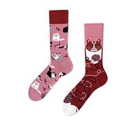 Many Mornings Playful Cat Calcetines multicolores con tema de gato, pelota, lana, mascota (35-38)