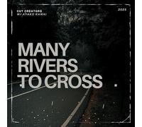 Many Rivers To Cross【レコードの日2025 対象商品】 [Analog]