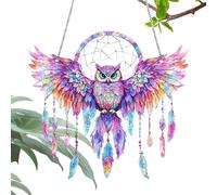 Maodom Atrapasueños acrílico con forma de búho, atrapasueños de plumas y cadena de metal para jardín, cocina, sala de estar