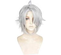 MAOMA Peluca Cosplay Anime，Peluca IDOLiSH7 Yaotome Gaku，Silver Gray Fluffy Short Peluca Cosplay,con Red de Peluca Gratis,Halloween Hair,para Cosplay de Fiesta diari