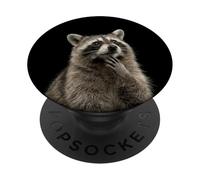Mapache de Pensamiento Divertido PopSockets PopGrip Adhesivo