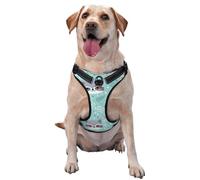 Mapache y Koala,Arnés para Mascotas, arnés Reflectante Ajustable para Perros,XL