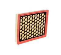 Filtros y aceite > Filtro > Filtro de aire (de coche)