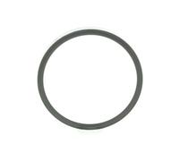 MAPCO Anillo sensor, ABS para CITROÃN: C4, C4 Picasso, C3, C3 Picasso, C6 & RENAULT: MÃ©gane & PEUGEOT: 407, 307, 207, 308, 607, 207+ (Ref: 76359)