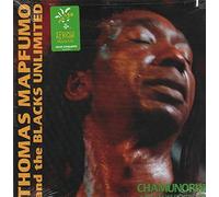 Mapfumo, Thomas - Chamunorwa/What are We Fighting for