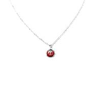 MAPIMANIA - Collar mujer y hombre personalizado color plata, cadena acero inoxidable con colgante mariquita buena suerte, regalos originales