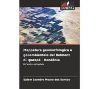 Mappatura geomorfologica e geoambientale del Belmont di Igarapé - Rondônia: Un'analisi dettagliata