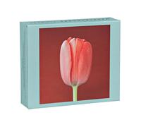 Mapplethorpe Flowers QuickNotes: Greeting, Thank You & Invitation Cards