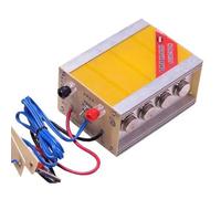 Máquina de baja frecuencia, batería de 12 V, transformador electrónico, cabezal inversor de alta potencia, amplificador antiguo(Deluxe Version)