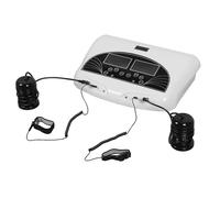 Máquina de Baño de Pies Desintoxicante, Spa de Pies Iónico Dual con 5 Modos y Tiempo Ajustable, Adecuado para Fumar y Beber Demasiado, Estrés Mental (Enchufe europeo 220V)