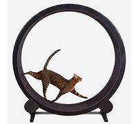 Máquina de Carrera de Mascotas, Rueda de Ejercicio de Gato, árbol de Actividades de Gato de Cinta de Correr de Gato Tranquila para Todo lo Que Corre, girando, rascando, trepando