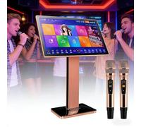 Máquina de karaoke china de 22 pulgadas Con micrófonos inalámbricos Disco duro de 500 GB Reproductor todo en uno con reverberación Selección de canciones móvil(1TB)