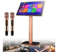 Máquina de Karaoke Profesional Reproductor de Karaoke con micrófono inalámbrico Pantalla táctil capacitiva de 19,5/22 Pulgadas Reproductor de Cine en casa en línea y TV para Fiestas,22inch-3TB