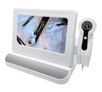 Máquina Diagnóstico Piel 11 Inc Con Pantalla Lcd Digital HD,Detección Cuero Cabelludo 200 Veces Y Piel 50 Veces,10 Millones Píxeles Y Detección Espectral 4 Para Detectar Folículos Pilosos Silver