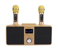 Máquina Karaoke, Máquina Altavoz Portátil Bluetooth, Kit de Sonido Family KTV Integrado con 2 Microfonos Micrófono Inalámbrico Audio en Vivo para Adultos Niños para la Actividad Picnic (oro)