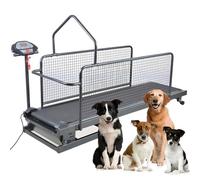 Máquina para Correr para Mascotas con Pantalla LCD y Podómetro, Cinta de Correr para Perros Grandes y Medianos, Capacidad de 220 Libras, Equipo de Ejercicio con Rampa Ajustable para Entrenamiento