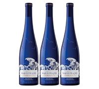 Mar de Frades 2023 - Vino Blanco D.O. Rías Baixas 100% Albariño 3 Botellas x 75 cl