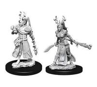 Maravillosas miniaturas de Nolzur de D&D - Druida humana femenina