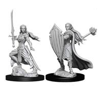 Maravillosas miniaturas sin pintar de D&D Nolzurs: oleada 9: palad n elfo femenino