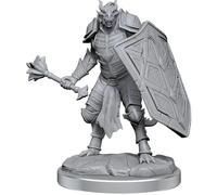 Maravillosas miniaturas sin pintar de Nolzur para Dungeons & Dragons: Cl rigos Dragonborn W18