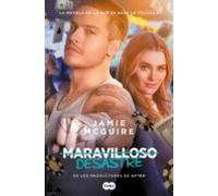 Maravilloso Desastre (maravilloso Desastre 1) (ebook)