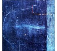 Marc Johnson - Bass & Cello