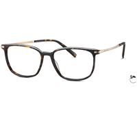 Marc O'Polo Eyewear 503238 C53 605315 Marrón