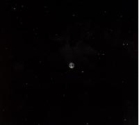 Marc Ribot - Ceramic Dog - Hope