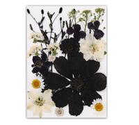Marca de lectura de libro de hojas prensadas negras con hojas auténticas, flores secas para una lectura elegante y decoración, marcadores naturales