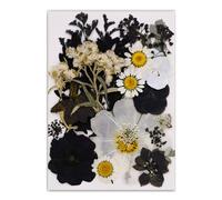 Marca única de lectura de libro de flores prensadas de hojas de árbol auténticas en diseño negro clásico para lectores y coleccionistas, marcadores de hojas hechos a mano