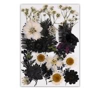 Marca única de lectura de libro de flores prensadas de hojas de árbol auténticas en diseño negro clásico para lectores y coleccionistas, marcadores de hojas hechos a mano