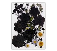 Marca única de lectura de libro de flores prensadas de hojas de árbol auténticas en diseño negro clásico para lectores y coleccionistas, marcadores de hojas hechos a mano